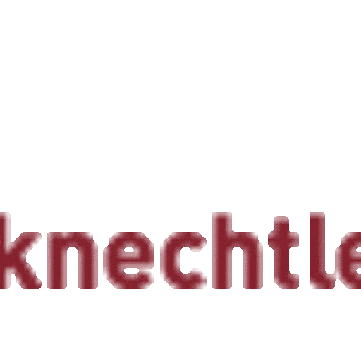 (c) Knechtleholzbau.ch